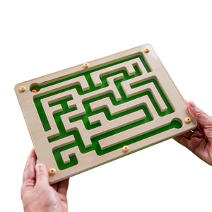 Circuit Maze