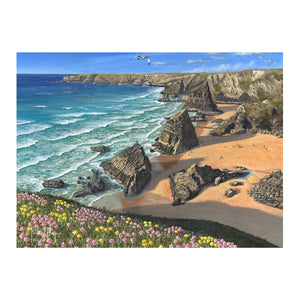 63 piece jigsaw puzzle - Wild Coast