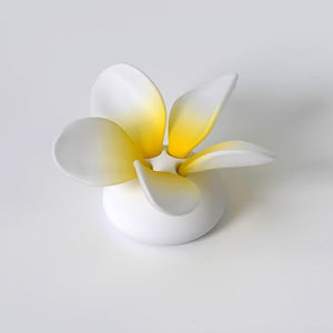 Frangipani flower puzzle