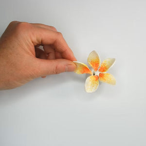 Frangipani flower puzzle