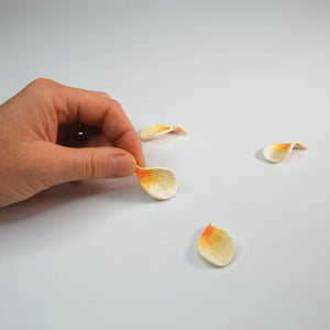 Frangipani flower puzzle