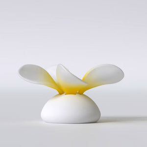 Frangipani flower puzzle
