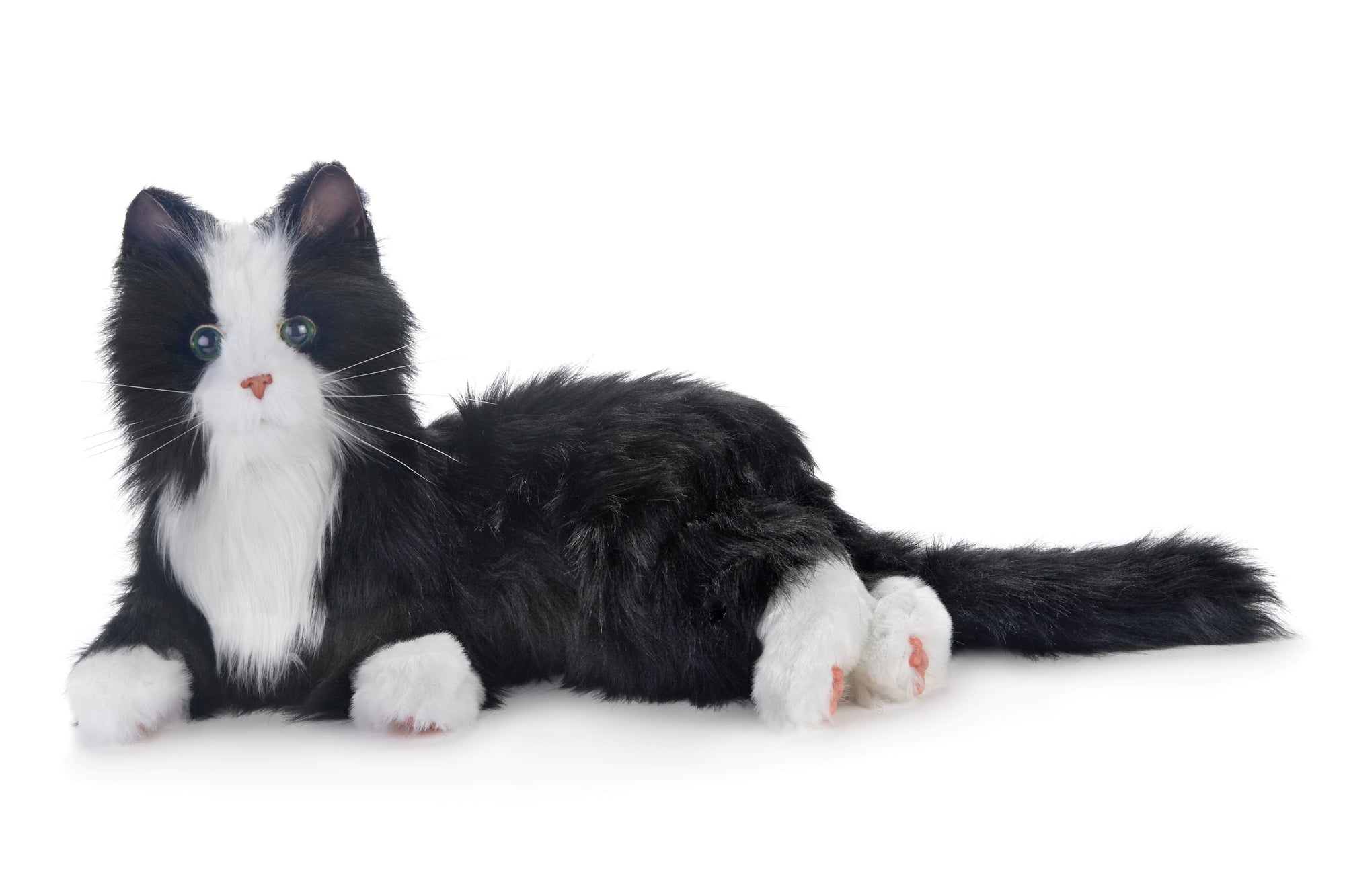 Black and white cat robotic companion pet