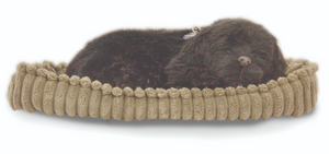 Precious Petzzz - Black Labrador