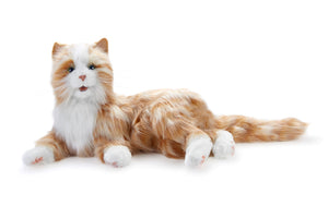 Orange tabby cat robotic companion pet