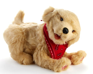 Golden pup robotic companion pet