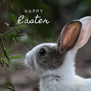 Happy Easter eCards