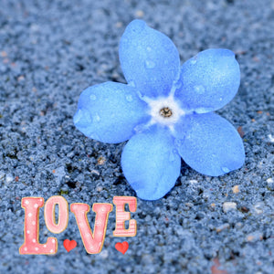 Love & Valentine - eCards