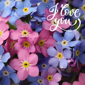 Love & Valentine - eCards