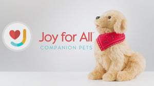 Golden pup robotic companion pet