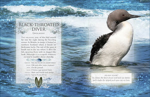 The little book of wetland bird sounds