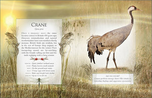 The little book of wetland bird sounds