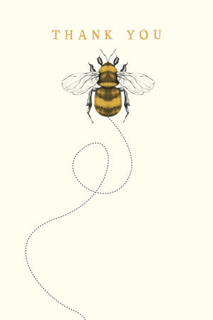 Bee thank you cards, pack of 10