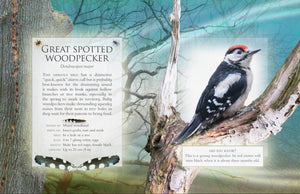 The little book of woodland bird songs