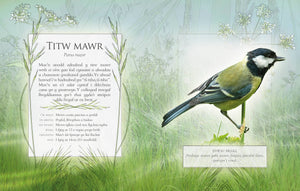 The little book of garden bird songs - Welsh text