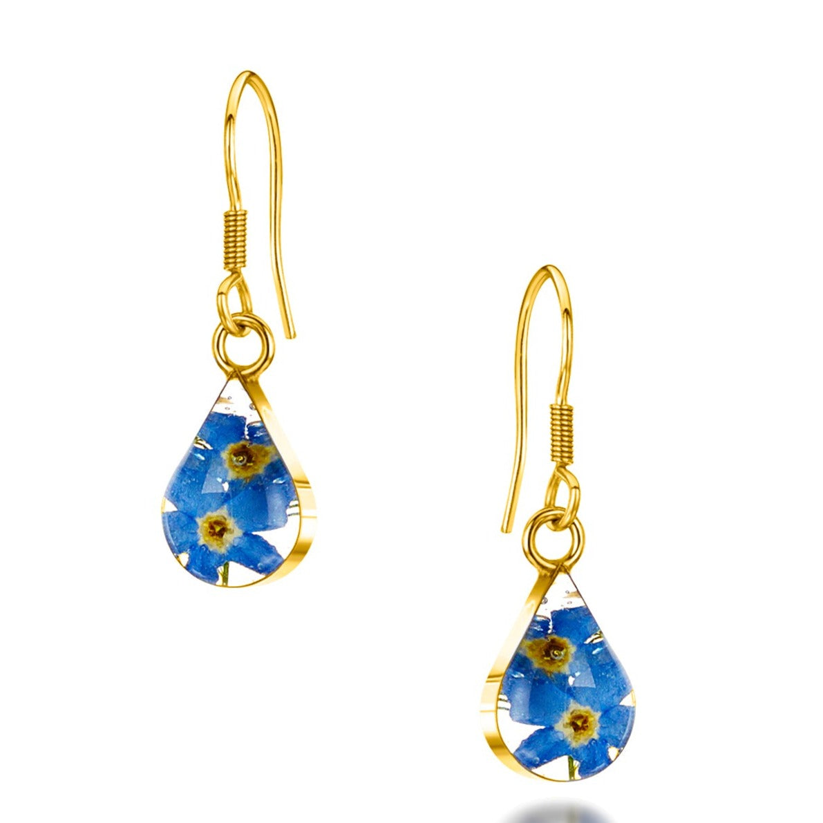 Sterling silver, gold-plated, dangly drop teardrop earrings with real forget-me-not flowers set in resin.