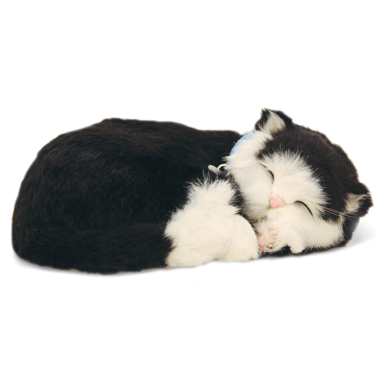 Precious petzzz companion pets - black and white cat curled up asleep