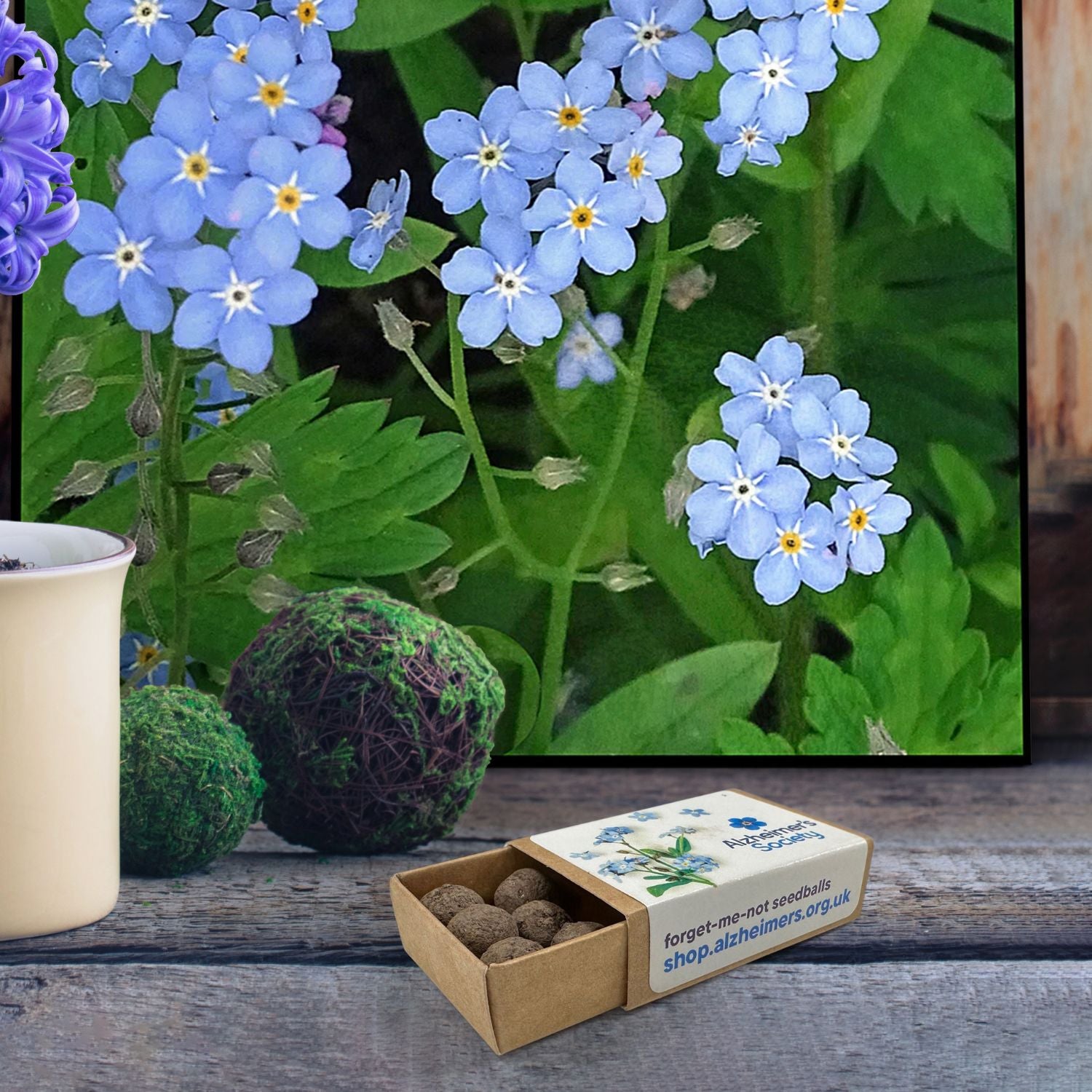 Forget-me-not gifts such as forget-me-not seeds from Alzheimer's Society