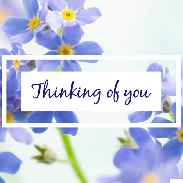 A card with forget-me not flowers and 'thinking of you' in a banner