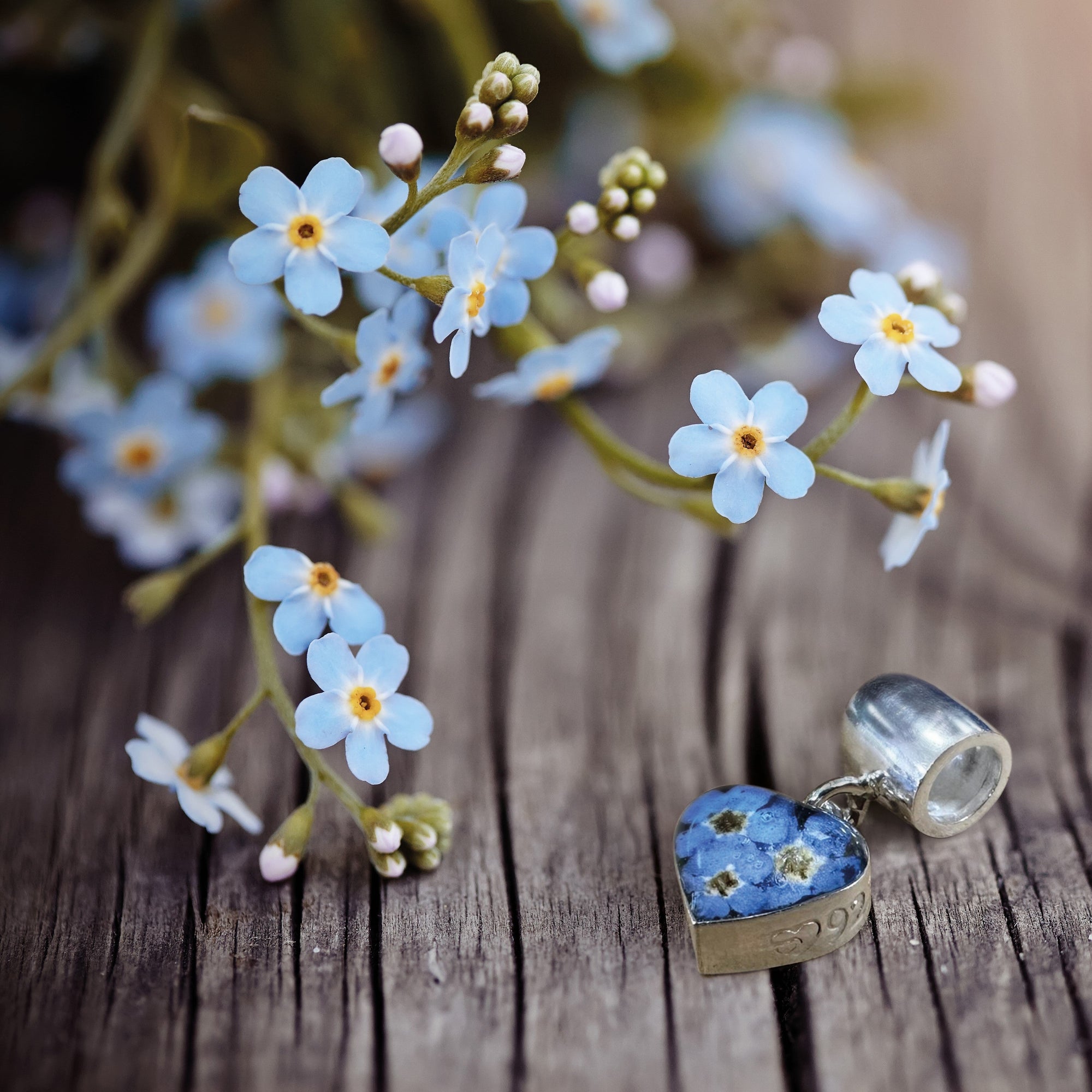 Alzheimer's Society forget-me-not heart charm silver jewellery surrounded by real forget-me-nots