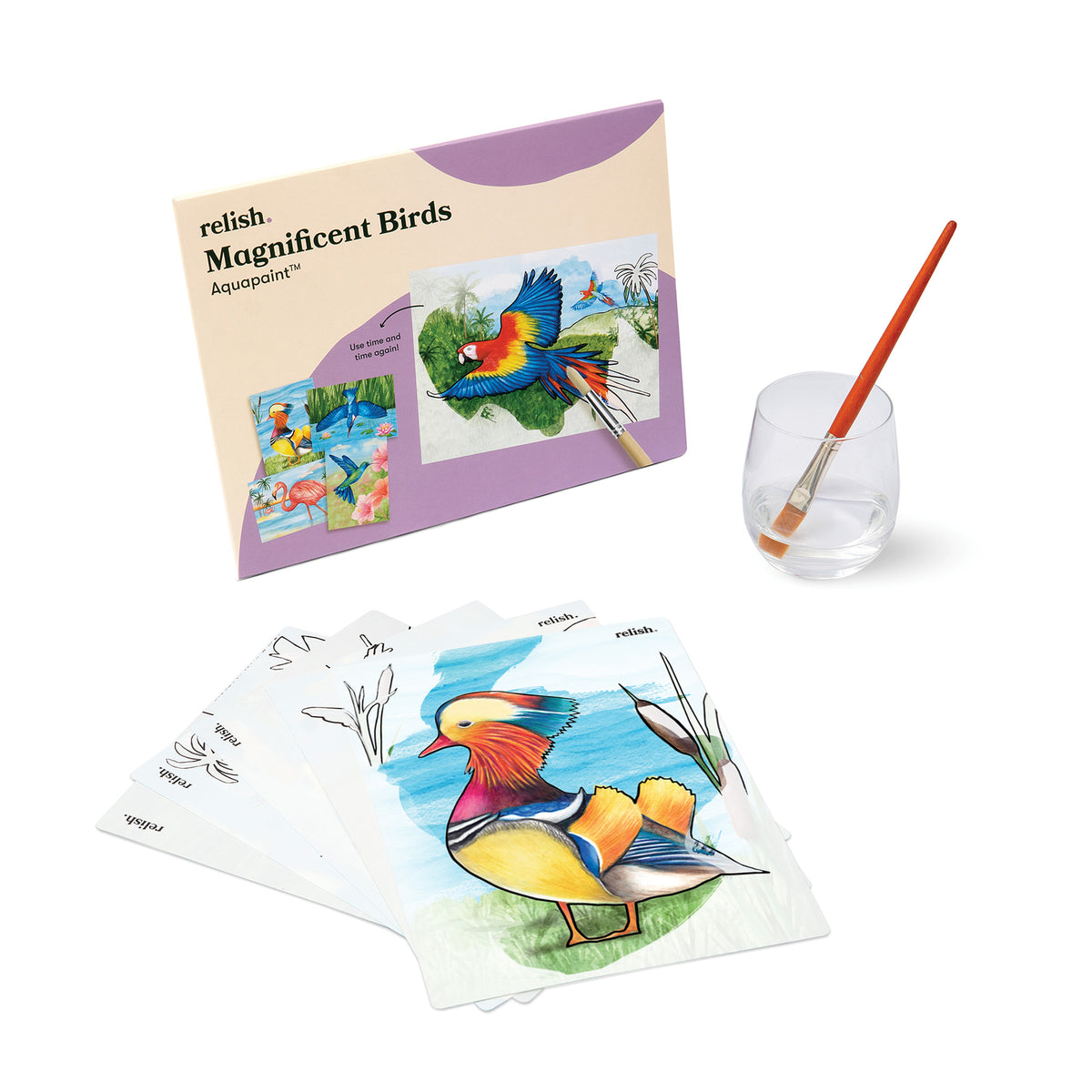 Aquapaints Magnificent Birds - VAT Free