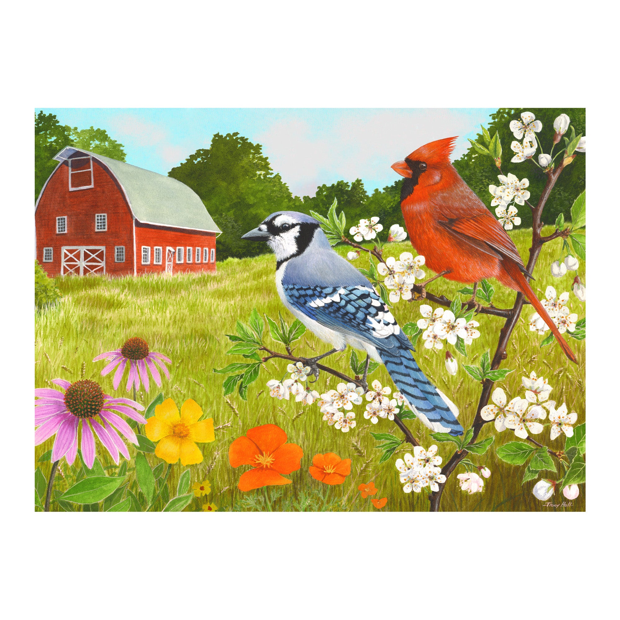 13 piece jigsaw puzzle - Summer Birds