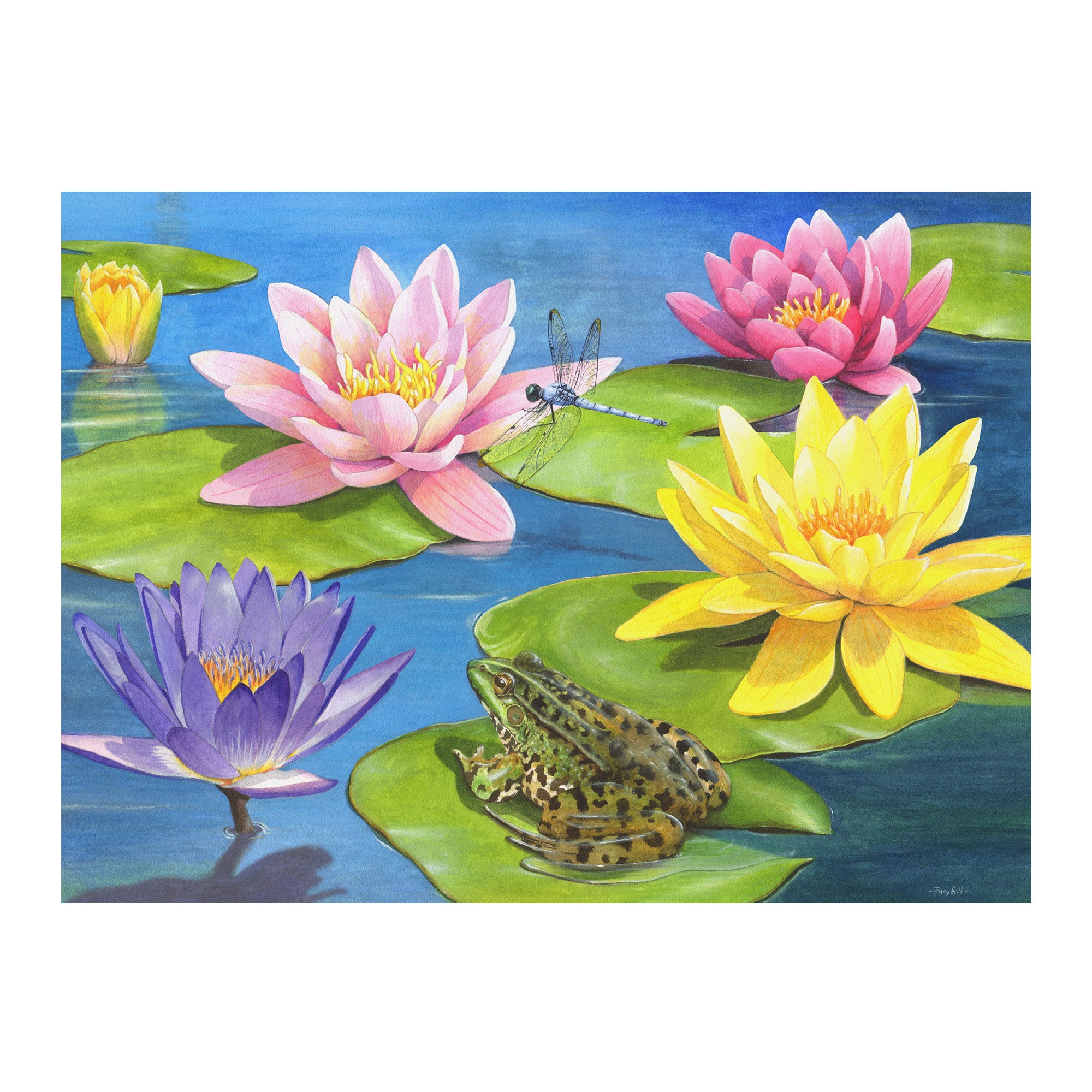 13 piece jigsaw puzzle - Lily Pond
