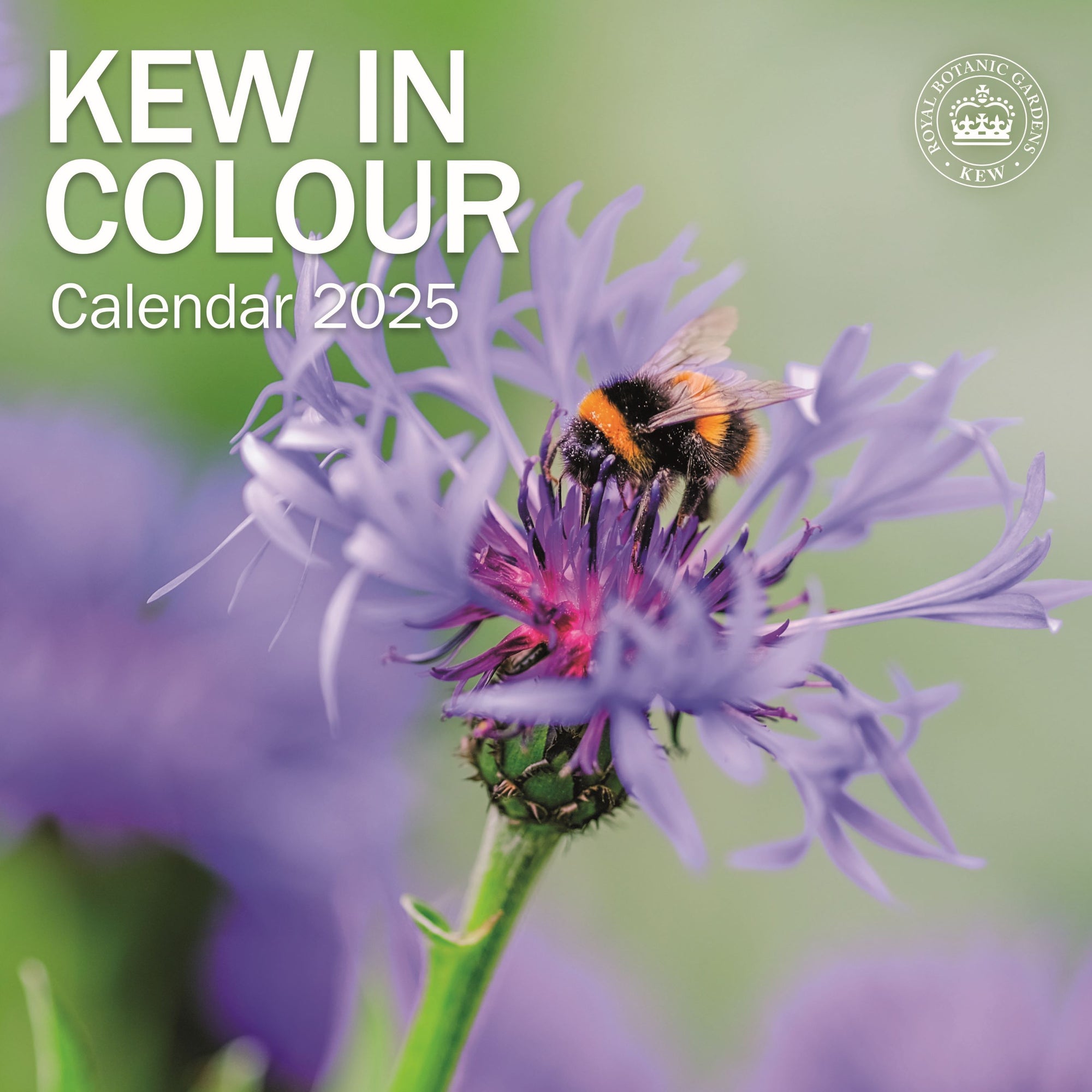 Royal Botanic Gardens Kew, wall calendar 2025