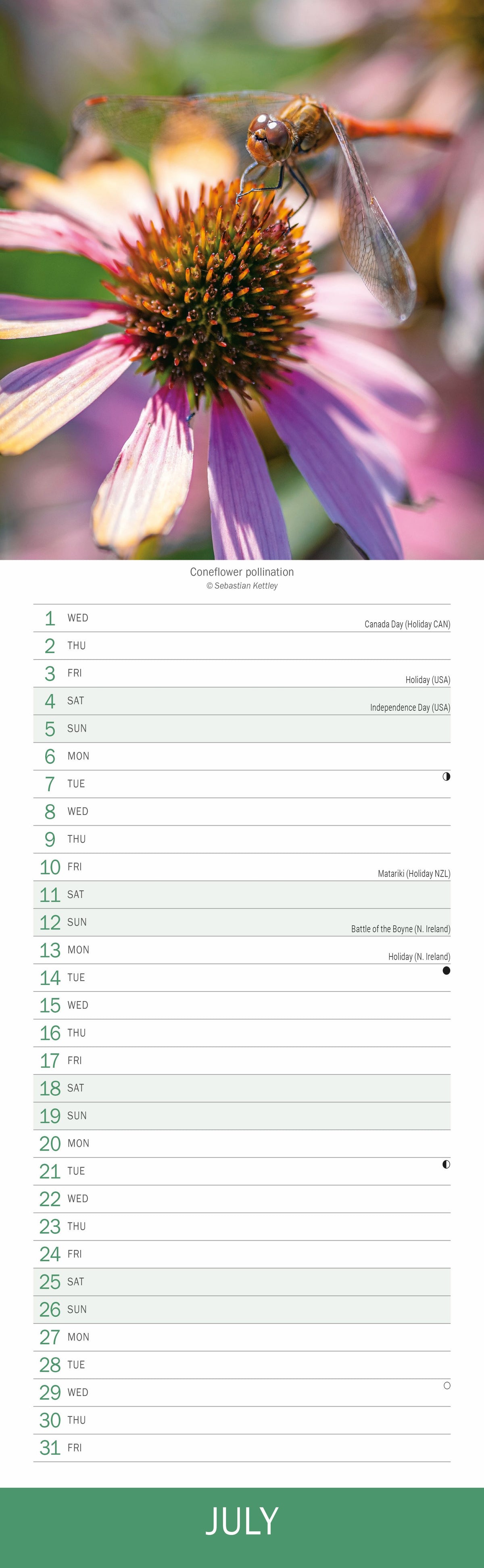 Royal Botanic Gardens Kew slim calendar 2026