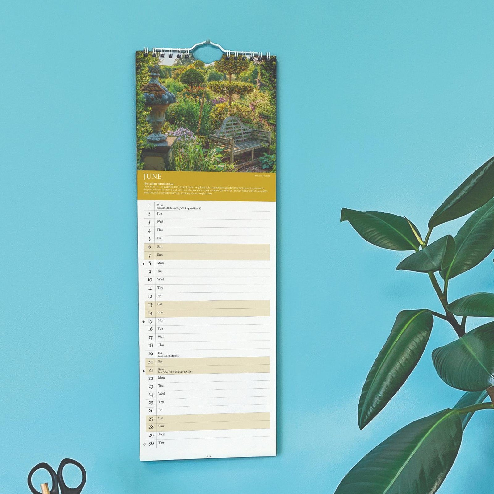 Vertical calendar on a blue wall with a plant and stationery items below.