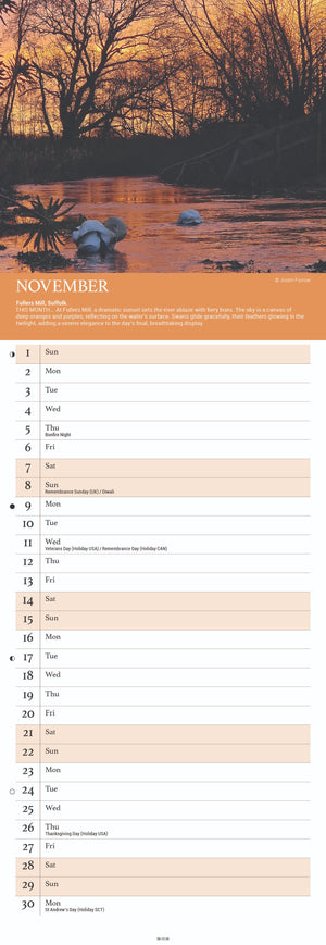 Beautiful Gardens - slim calendar 2026