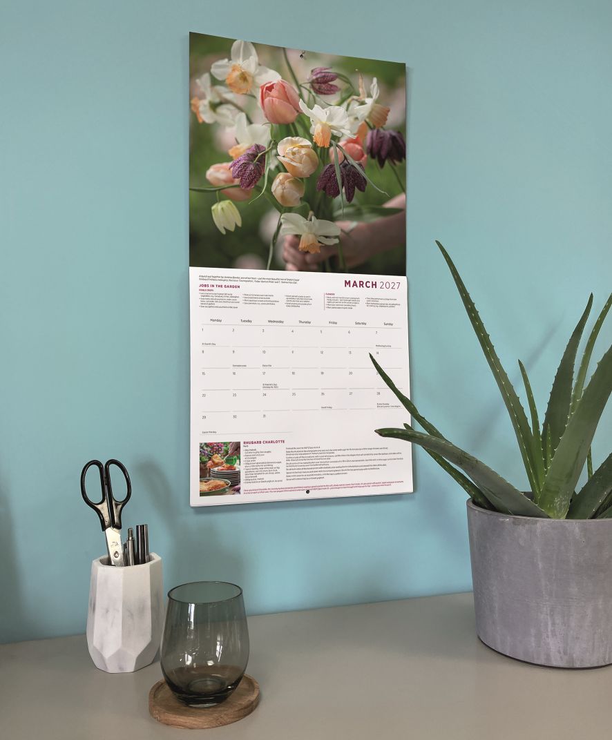 Wall calendar open to March 2027 with a floral photograph, hanging above a desk with an aloe plant and stationery holder.