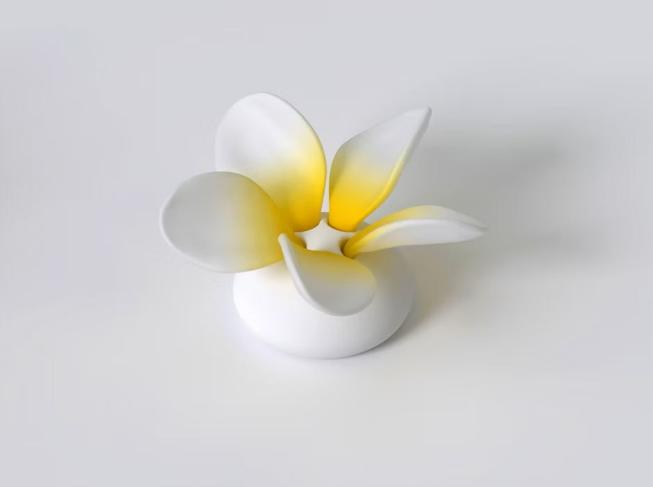 Frangipani flower puzzle