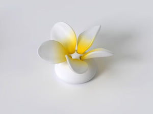 Frangipani flower puzzle