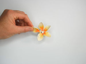 Frangipani flower puzzle