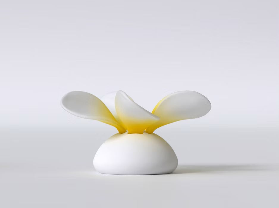 Frangipani flower puzzle