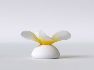 Frangipani flower puzzle