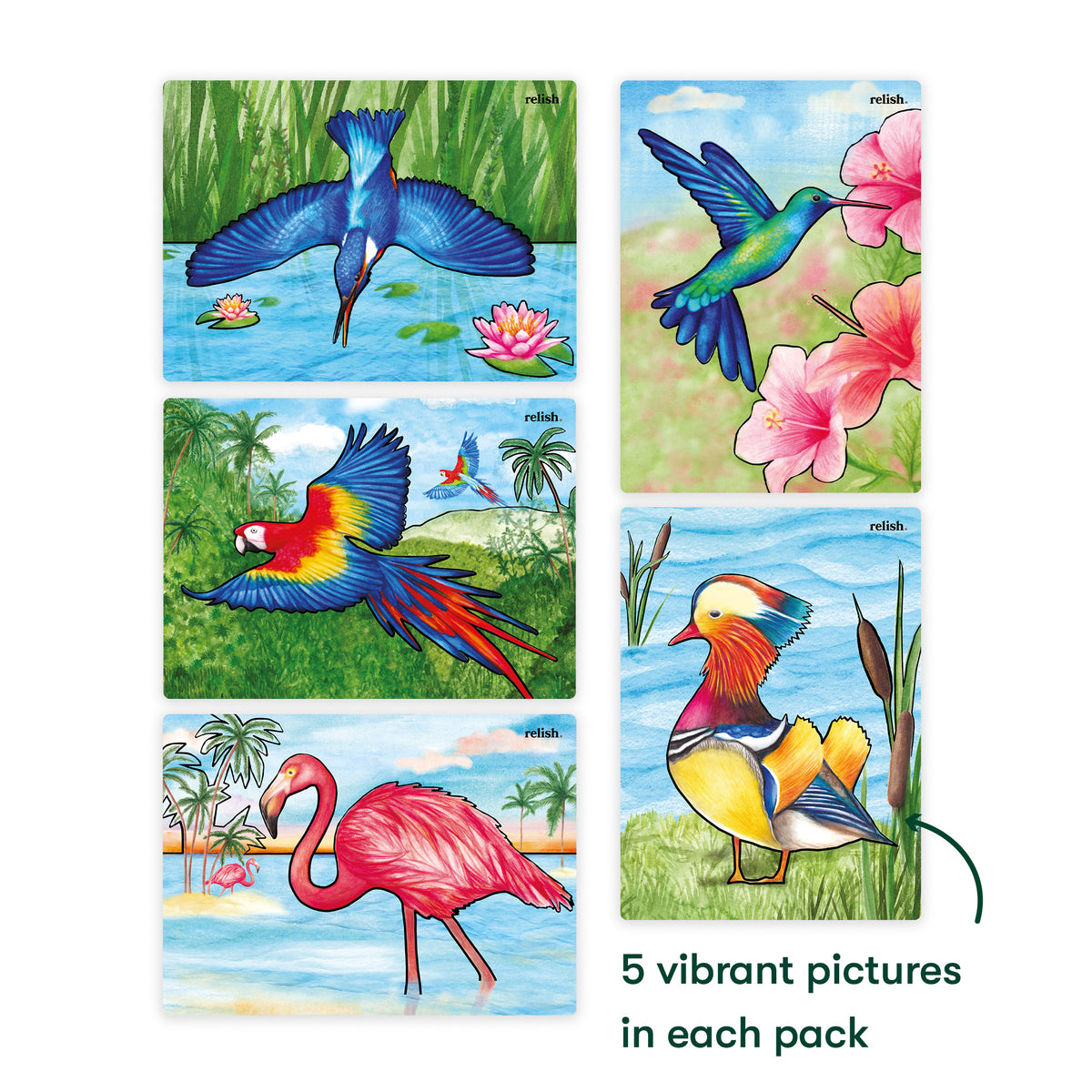 Aquapaints Magnificent Birds - VAT Free