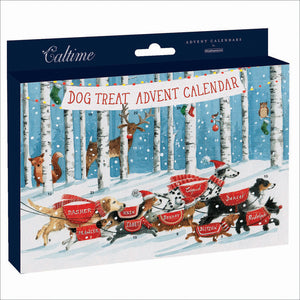 Dog treat advent calendar