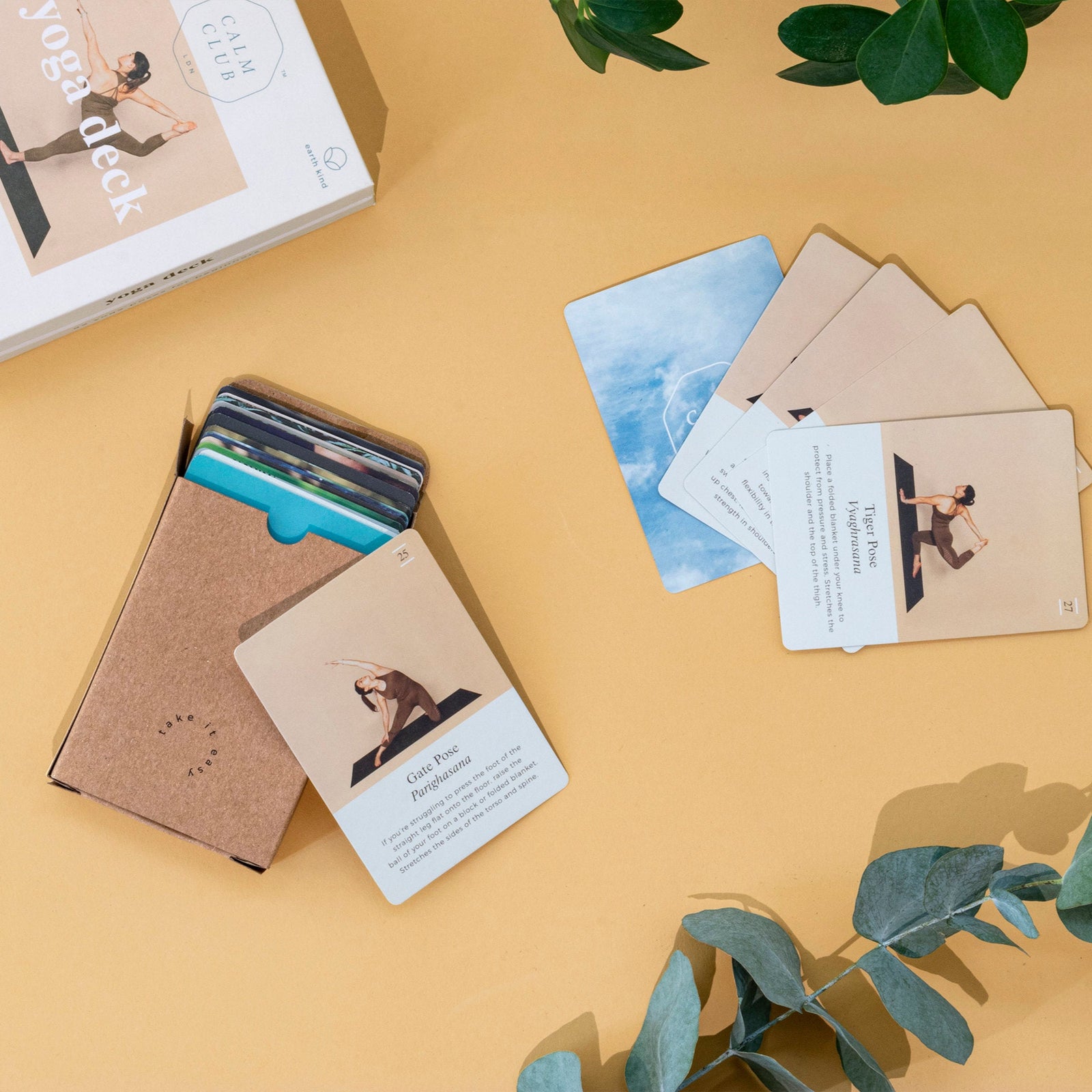 Yoga deck - 52 card pack of yoga poses