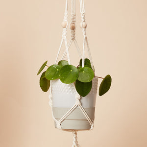 Hang time - macrame plant pot hanger kit
