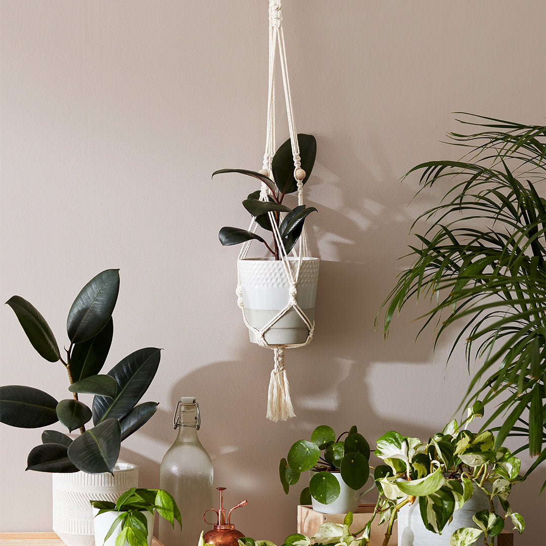 Hang time - macrame plant pot hanger kit