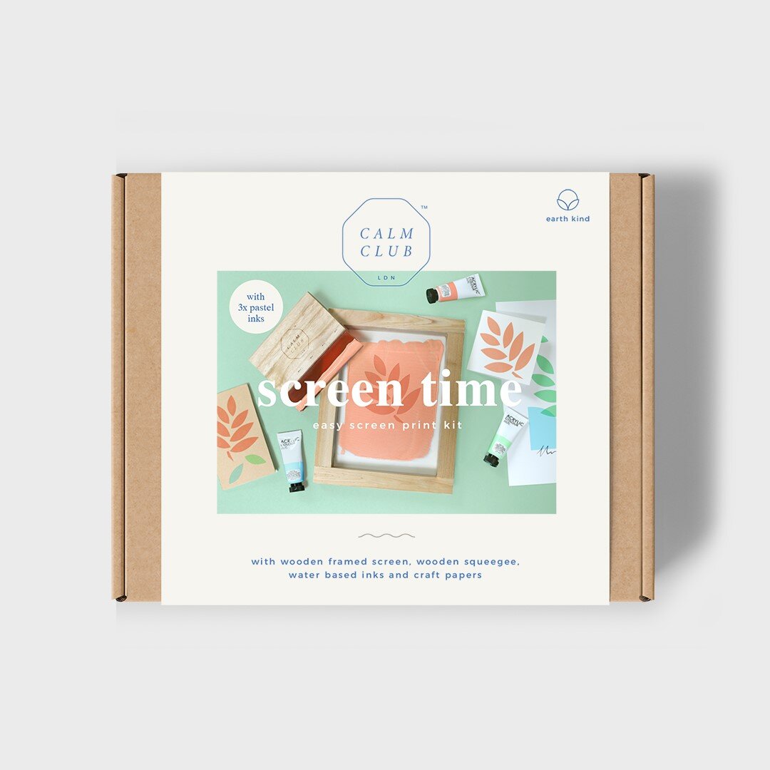 Screen time DIY screen printing kit