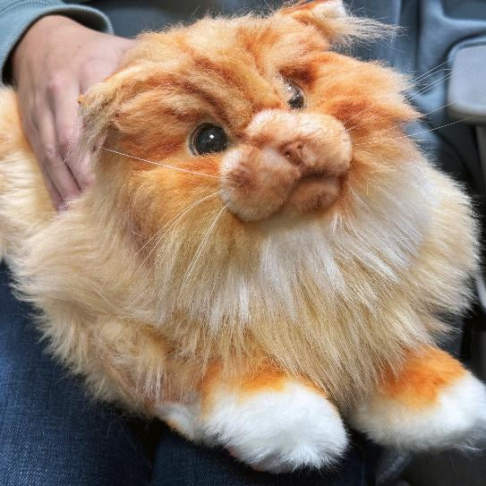 A robotic cat companion pet with a synthetic fur body, predominantly orange with white paws, designed to resemble a real cat.