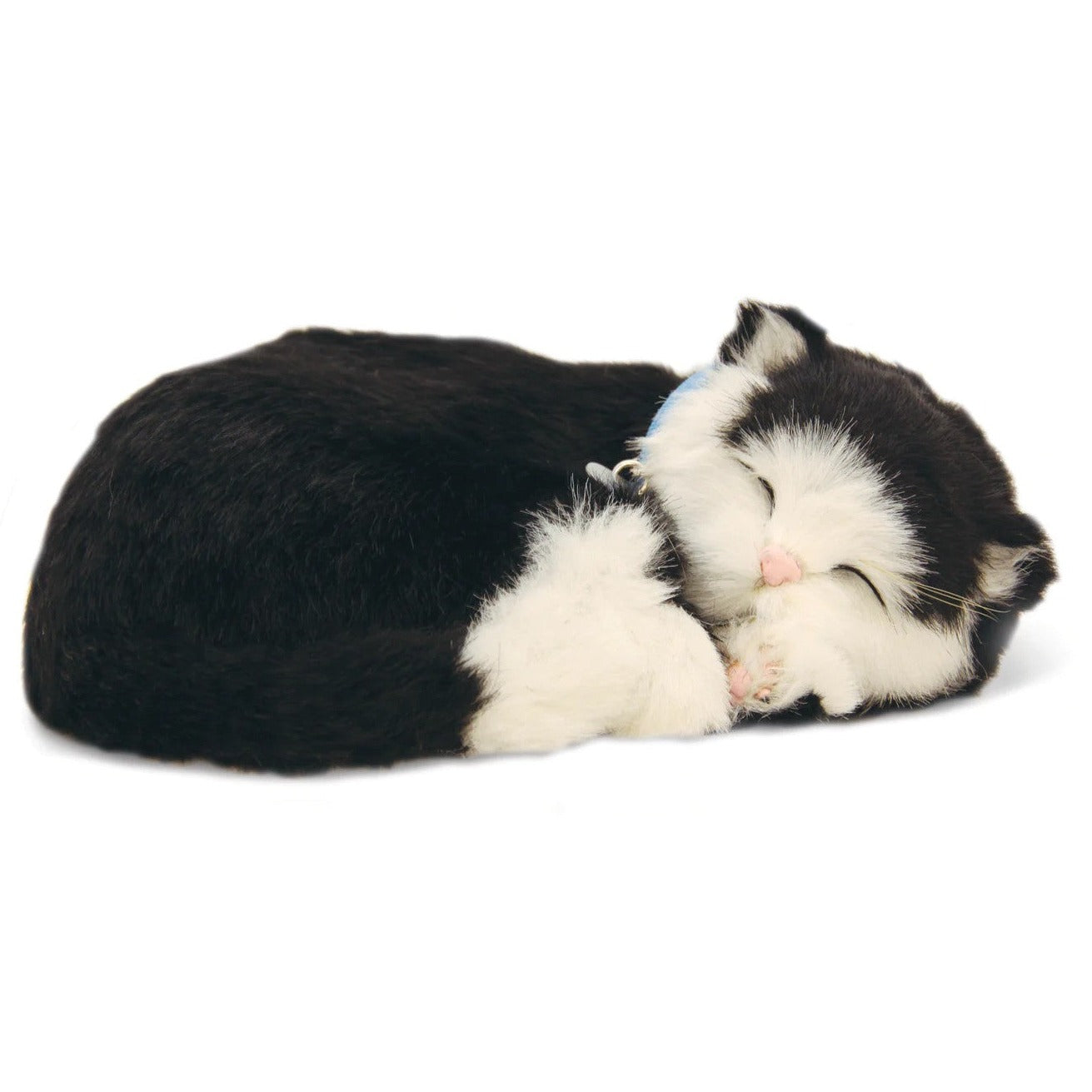 Realistic black and white kitten toy asleep