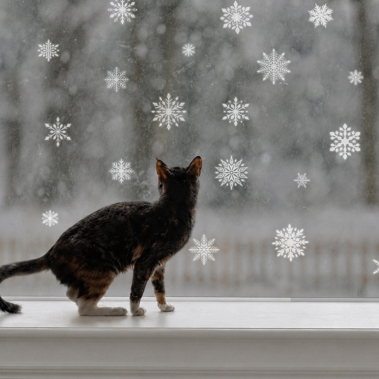 A black and white calico cat sits on a white windowsill looking out at a snowy, blurred outdoor scene, with white snowflake decals scattered on the windowpane.