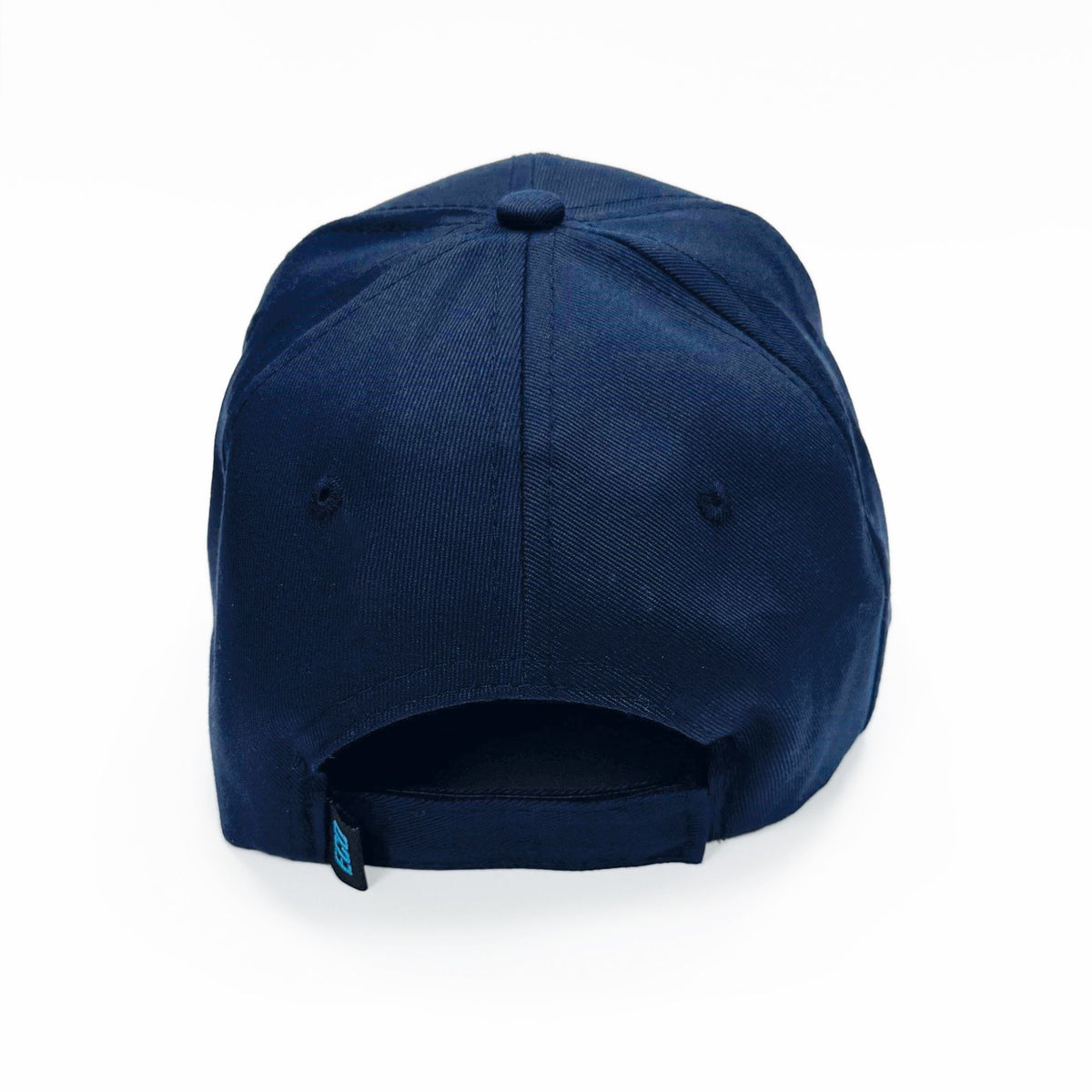 Alzheimer's Society baseball cap