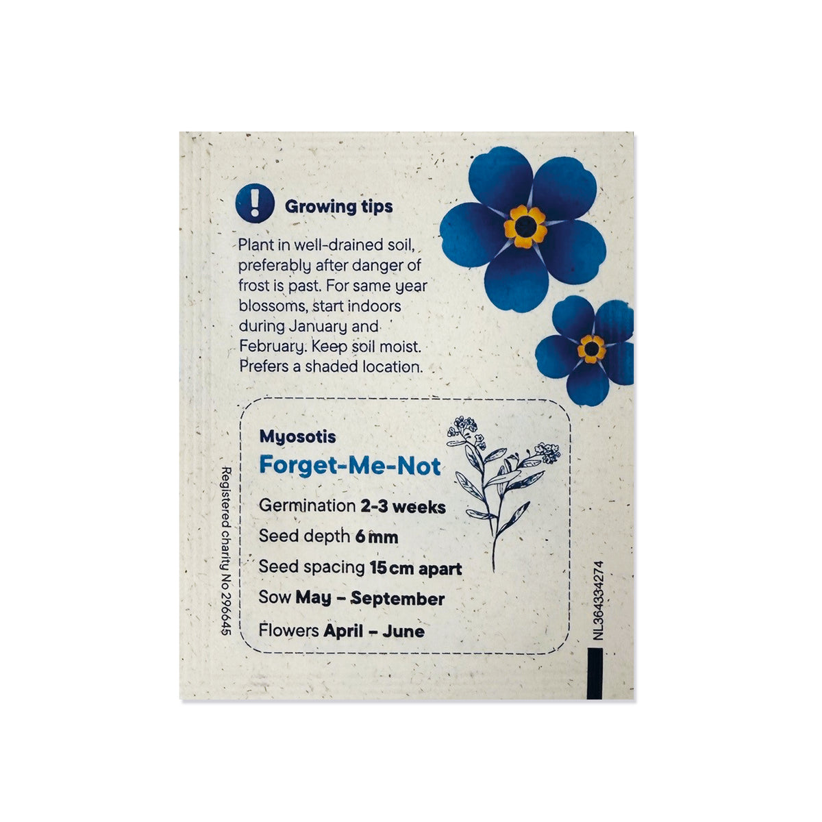 Forget-me-not flower seed pack - eco-friendly