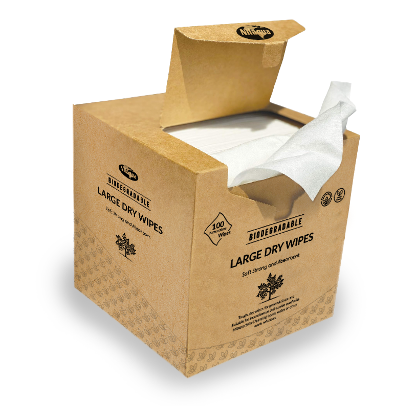 Biodegradable dry wipes