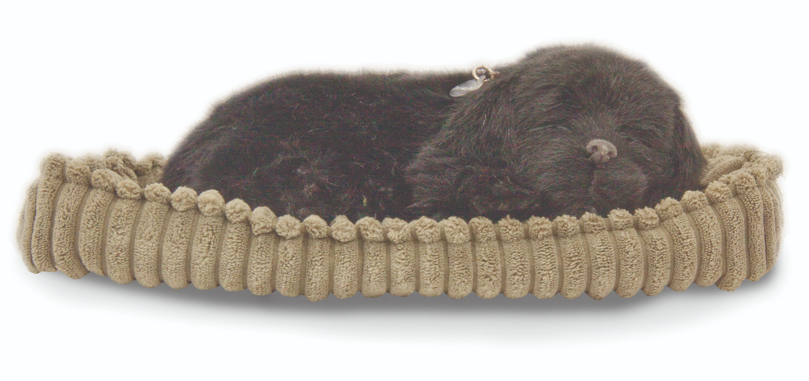 Black lab dog in a bed.